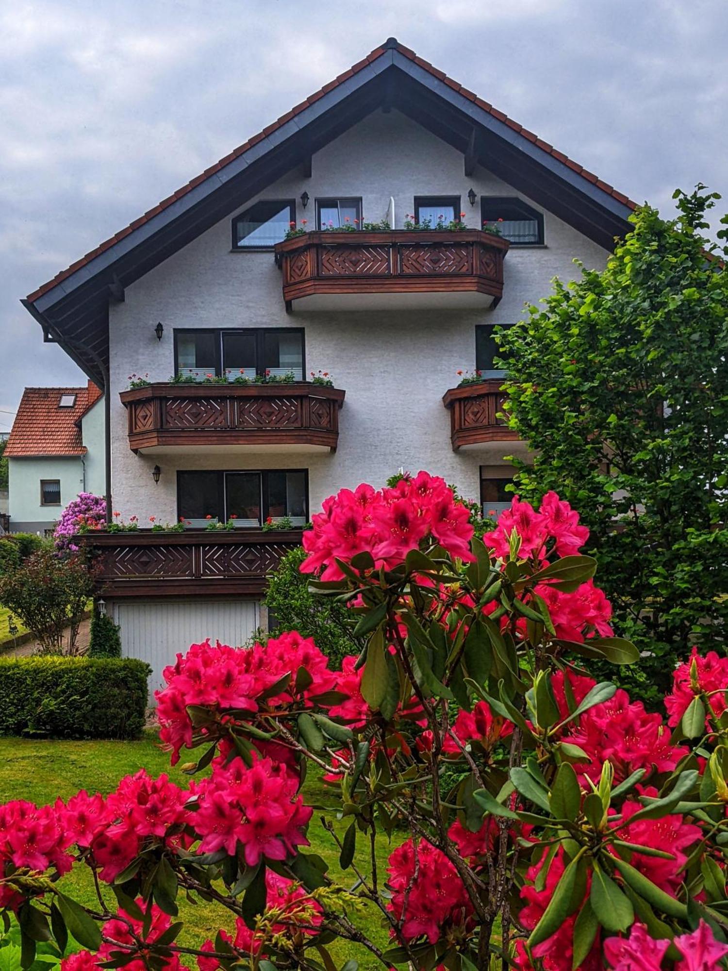 Gaestehaus Regina Ruhla Exterior photo